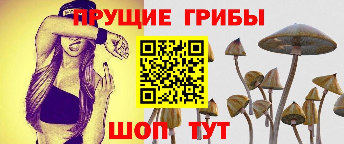 Галлюциногенные грибы GOLDEN TEACHER  Вход с VPN  Псилоцибиновые грибы прущие грибы  закладка  Назарово 